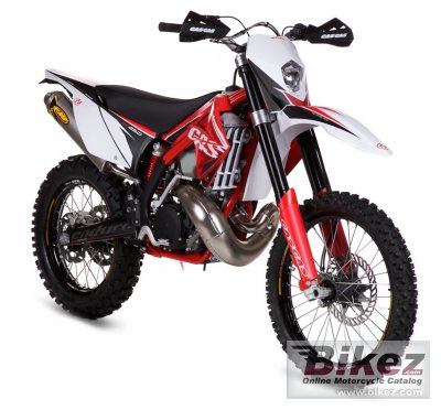 2011 GAS GAS EC 300 2T photo